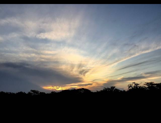 100HA FARM FOR SALE IN ESHOWE RURAL